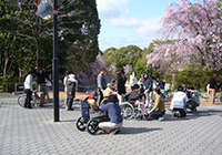 8日　お花見　小畑川公園