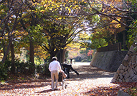 各ユニットから紅葉狩りにお出かけ(小畑川公園)