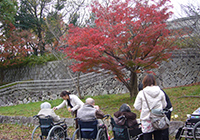 小畑川公園へ紅葉狩り