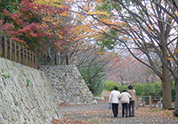 小畑川公園へ紅葉狩り