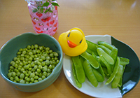 ユニットで育った豆で豆ご飯を！