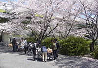 7～9日　小畑川公園へお花見に