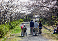 6～11日　お花見　小畑川公園