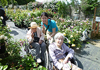 24日　マツオ園芸はバラが満開