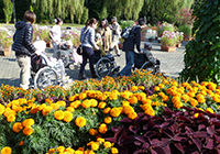 4日　植物園へお出かけ