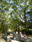 4日　植物園へお出かけ