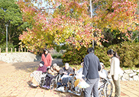 18,21,24,30日　紅葉狩り(小畑川中央公園)