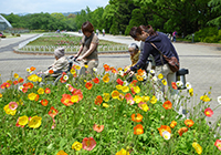 府立植物園へお出かけ