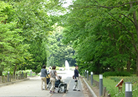 府立植物園へお出かけ