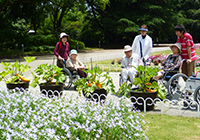 梅雨の晴れ間に府立植物園へ