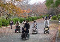 20日　紅葉狩り