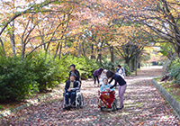 5日　紅葉狩り　小畑川中央公園