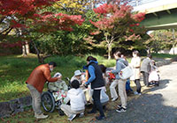 18日　紅葉狩り小畑川中央公園にお出かけ