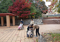 22日　紅葉狩り　小畑川中央公園