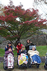 19日 紅葉狩り 小畑川中央公園
