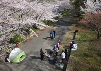 2日,4日,5日,8日　小畑川中央公園に皆さまと