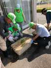 15日　「土のめぐみ」の皆さま　ゴーヤの植え付けをしていただきました