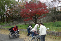 19、21、27、29日　紅葉狩り　小畑川公園へ