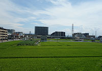 １日　東の空