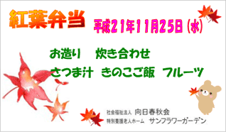 gtٓ@21N1125