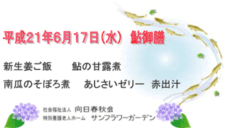 21N617V